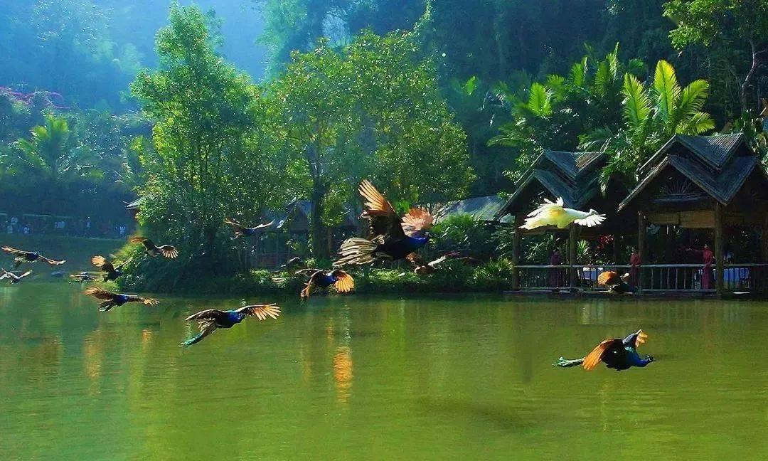 苏企奋斗正当燃！听江苏企业家发出奋斗最强音
